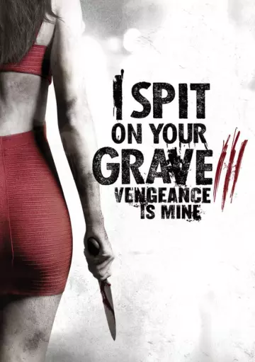 I Spit On Your Grave 3: Vengeance is Mine [BDRIP] - VOSTFR
