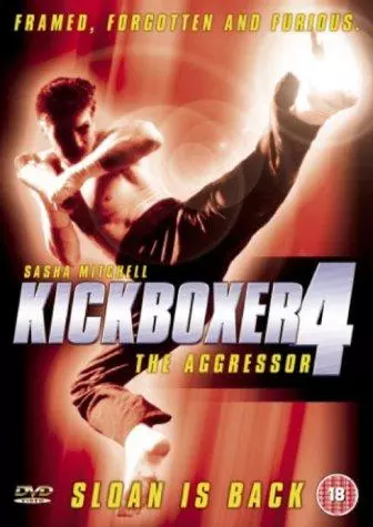 Kickboxer 4 [TVRIP] - FRENCH