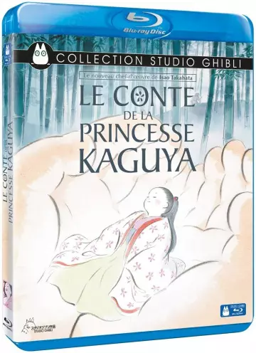 Le Conte de la princesse Kaguya [BLU-RAY 720p] - VOSTFR