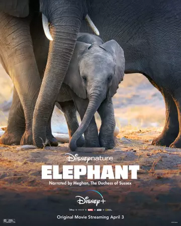 Elephant [WEB-DL 1080p] - MULTI (FRENCH)
