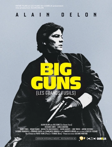 Big Guns - Les Grands fusils [DVDRIP] - FRENCH