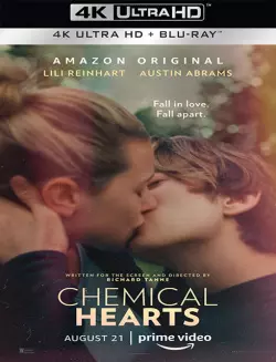 Chemical Hearts [WEB-DL 4K] - MULTI (FRENCH)