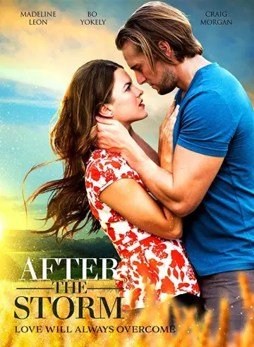 After The Storm [WEBRIP] - TRUEFRENCH