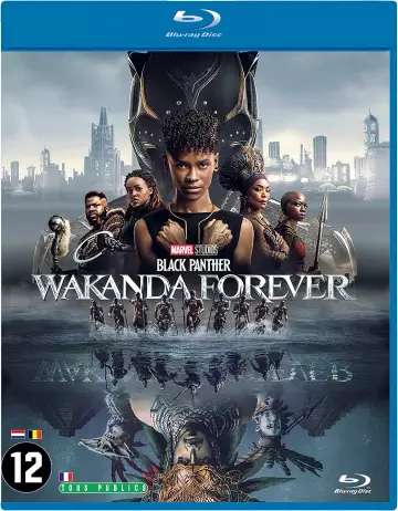 Black Panther : Wakanda Forever [BLU-RAY 1080p] - VOSTFR