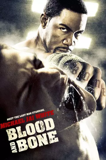 Blood and Bone [HDLIGHT 1080p] - MULTI (TRUEFRENCH)