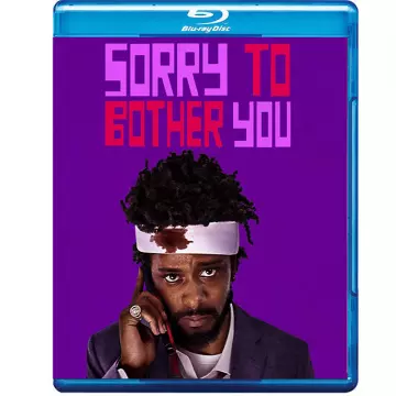 Sorry To Bother You [HDLIGHT 1080p] - MULTI (FRENCH)