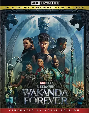 Black Panther : Wakanda Forever [4K LIGHT] - MULTI (TRUEFRENCH)