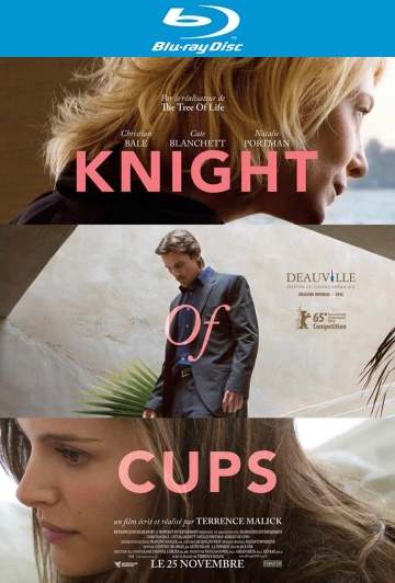 Knight of Cups [HDLIGHT 1080p] - MULTI (FRENCH)
