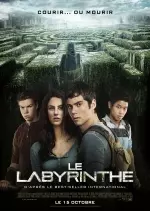 Le Labyrinthe [BDRip XviD] - FRENCH