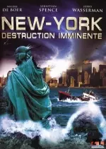 New-York : destruction imminente [Dvdrip XviD] - FRENCH