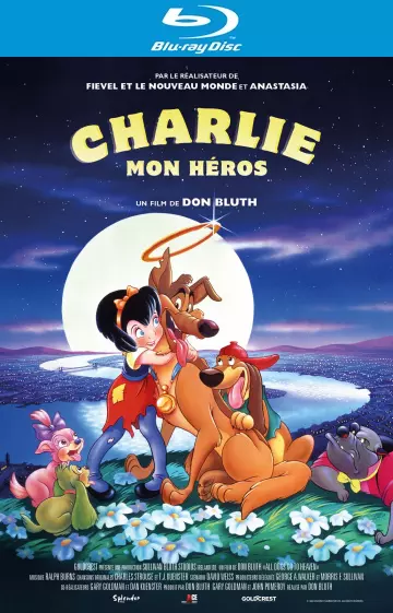Charlie, mon héros [HDLIGHT 1080p] - MULTI (TRUEFRENCH)