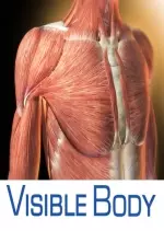 Visible Body 7.4.01 - "anatomie du corps humain"