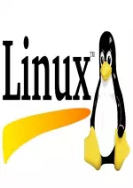 Alphorm Formation Linux Scripting Acquérir les fondamentaux