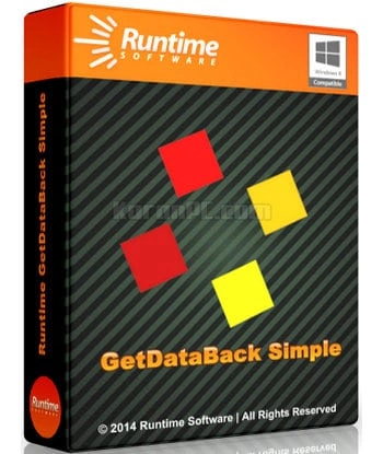 Runtime GetDataBack Pro 5.61 Win x32 x64