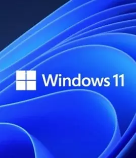 Windows 11 v21h2 4in1 Fr x64 (11 Janv. 2022) + activateur