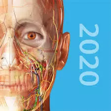 Atlas d’anatomie humaine 2020 [Applications]