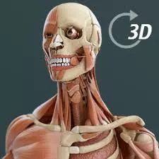 Visual Anatomy 2 v0 build 40 [Applications]