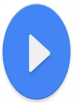 MX Player Pro  1.9.14 [Applications]