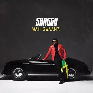 Shaggy - Wah Gwaan?!  [Albums]