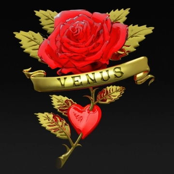 Bananarama - Venus (Boys Noize Rework) [Albums]
