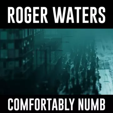 Roger Waters - Comfortably Numb (EP) [Albums]