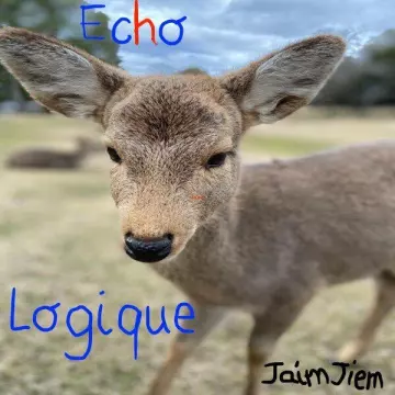 Jaim Jiem - Echo logique  [Albums]