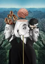 Clean Bandit - What Is Love? (Deluxe) [Albums]