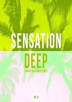 Sensation Deep Vol 9 (Groovy Deep House Tunes) 2017 [Albums]