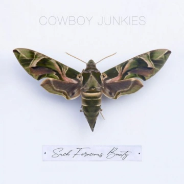 Cowboy Junkies - Such Ferocious Beauty [Albums]