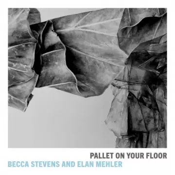 Becca Stevens & Elan Mehler - Pallet on Your Floor  [Albums]