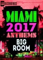 Miami 2017 Anthems: Big Room [Albums]