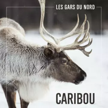 Les Gars du Nord - Caribou [Albums]