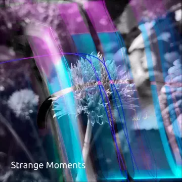 Strange Moments - Strange Moments [Albums]