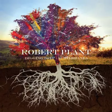 Robert Plant - Digging Deep: Subterranea [Albums]