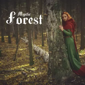 CELTIC SPIRIT - Mystic Forest Relaxing Celtic Music 2022  [Albums]