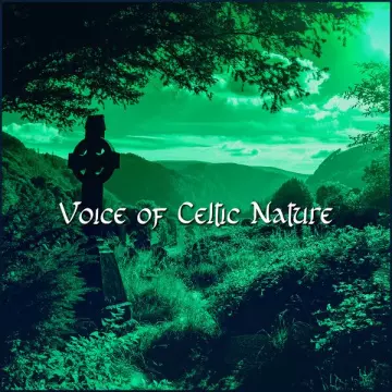 Celtic Music Voyages - Voice of Celtic Nature_ Celtic Meditation and Relaxation [Albums]