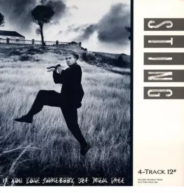 Sting - If You Love Somebody Set Them Free (1985) 12"  [Albums]