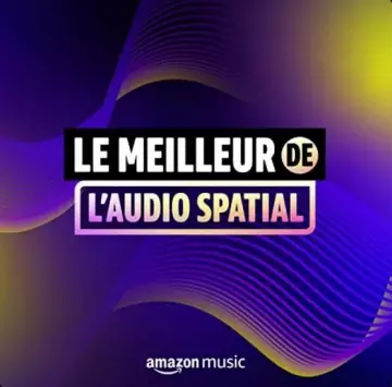 LE MEILLEUR DE L'AUDIO SPATIAL  [Albums]