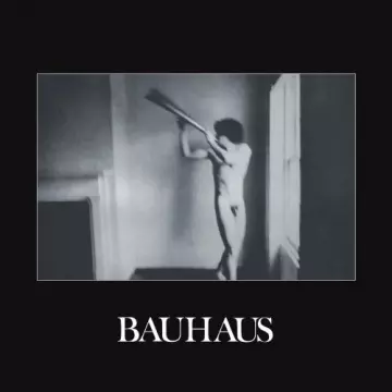 Bauhaus - In the Flat Field  [Albums]