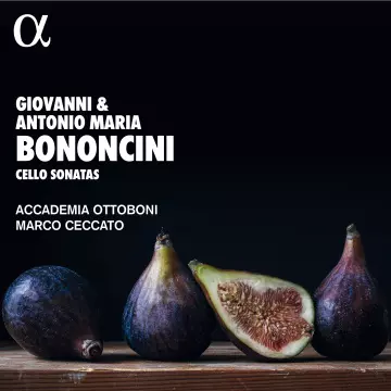 Bononcini - Cello Sonatas - Marco Ceccato & Accademia Ottoboni [Albums]