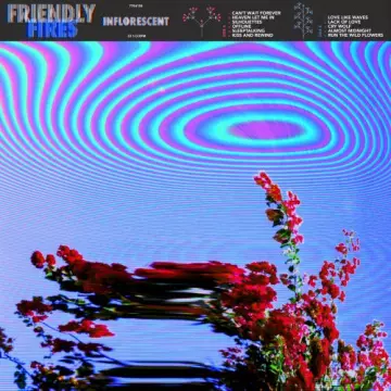 Friendly Fires - Inflorescent [Albums]