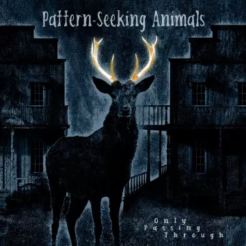 Pattern-Seeking Animals - Only Passing Through [Albums]