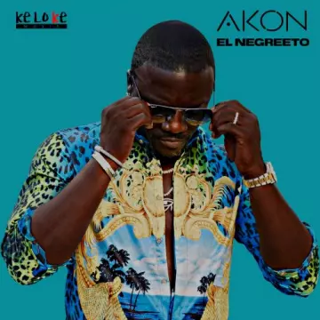 Akon - El Negreeto [Albums]