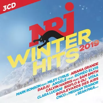 NRJ Winter Hits 2019 [Albums]