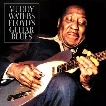 Muddy Waters - Floyd's Guitar Blues (Live) [Albums]