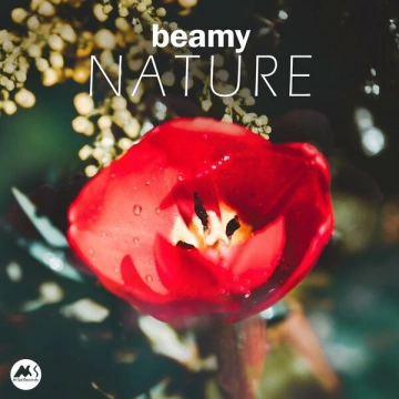 Beamy - Nature [Albums]
