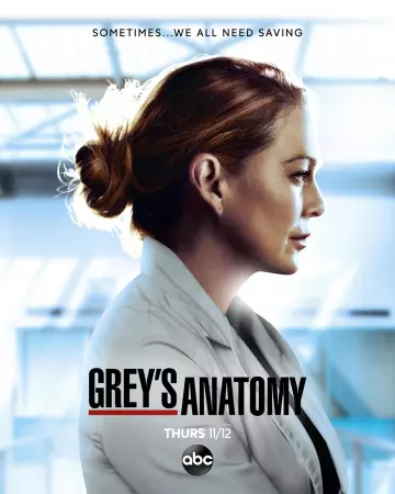 Grey's Anatomy - Saison 17 - VOSTFR HD