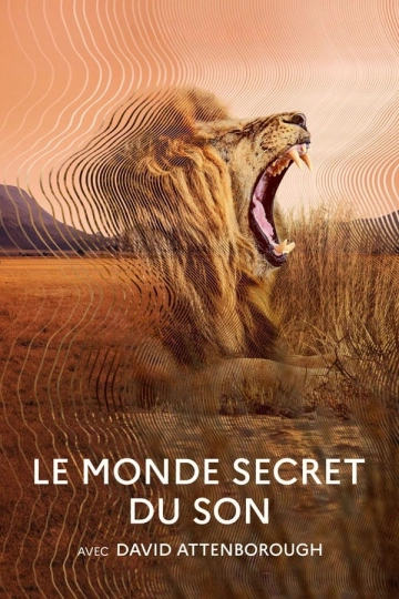 Le monde secret du son avec David Attenborough - Saison 1 - vostfr-hq