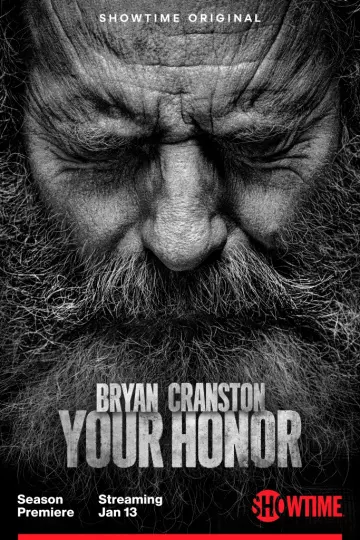 Your Honor - Saison 2 - VF HD