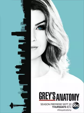 Grey's Anatomy - Saison 13 - vf-hq
